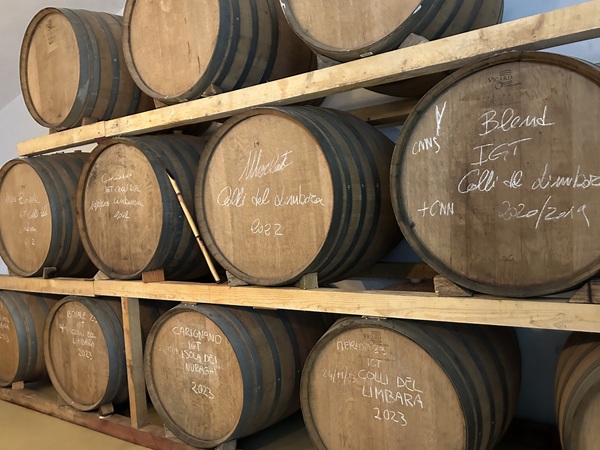 テヌーテグレグワインツアー