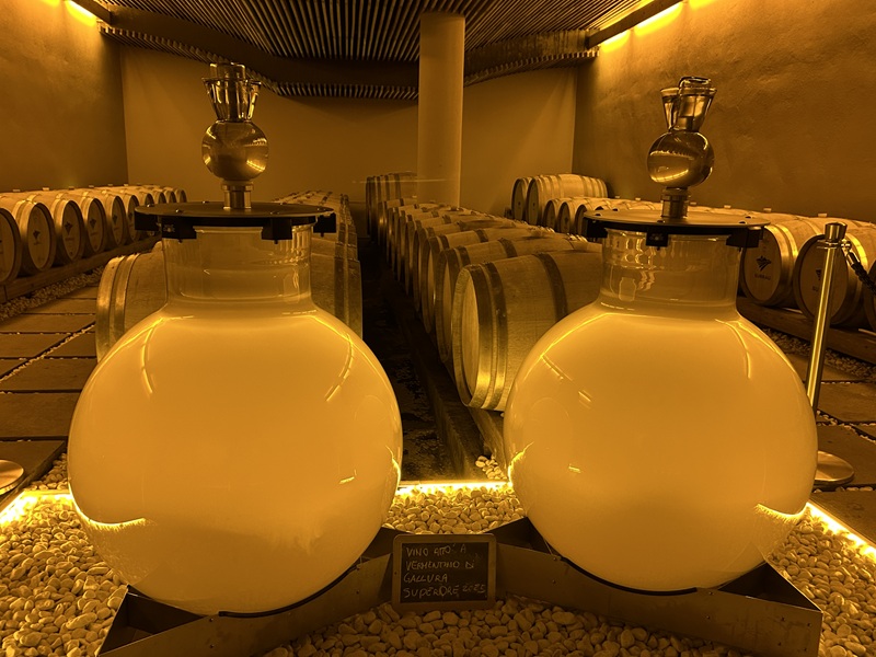 ワイングローブ Wineglobe